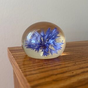 Beautiful vintage handcrafted paperweight with preserved cornflower